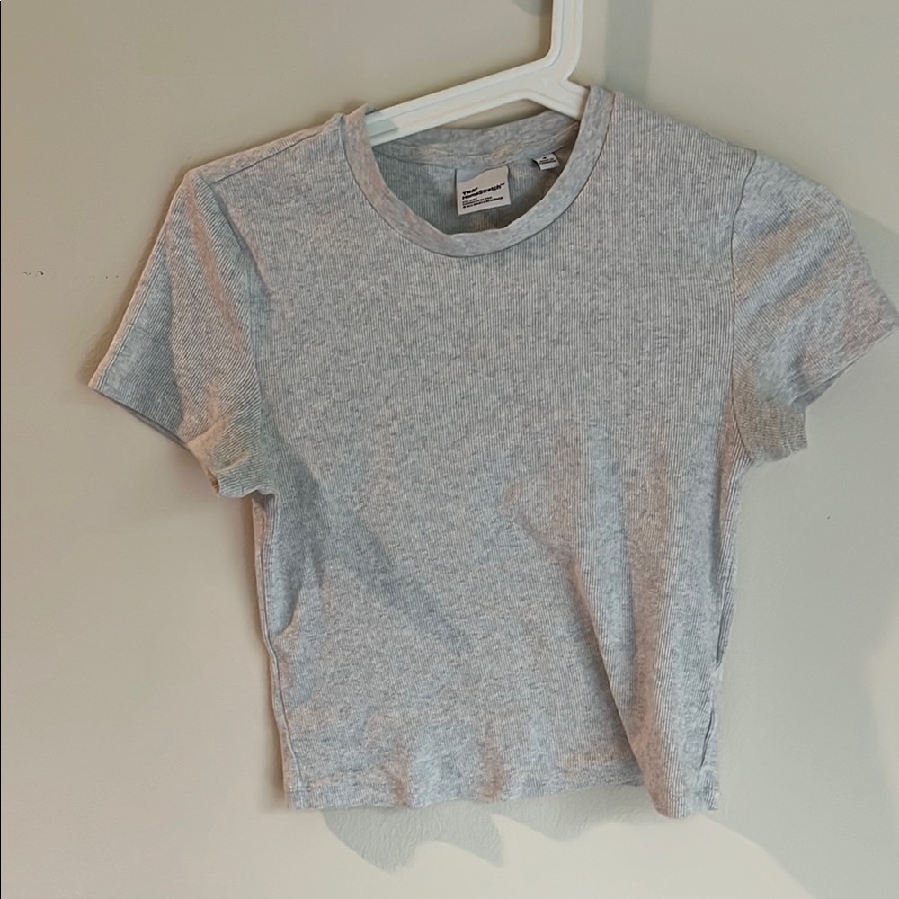 Aritzia Gray Short Sleeve Tee